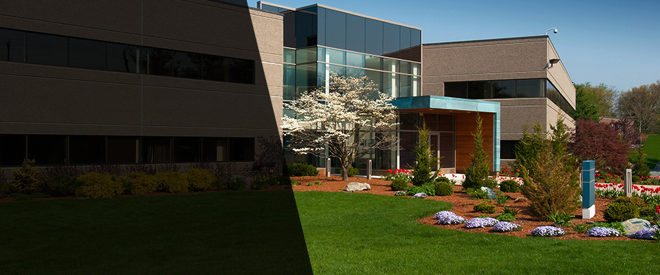 Hawaiian Gardens Landscapers