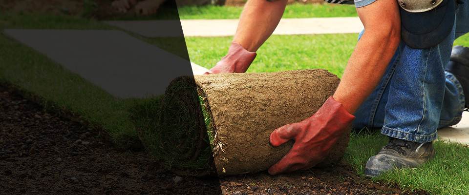 Hawaiian Gardens Landscapers